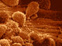 Blutgefaese-90-px.jpg