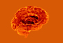 Hirn_istock90px2014.jpg
