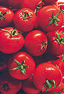 Tomaten_90px.jpg